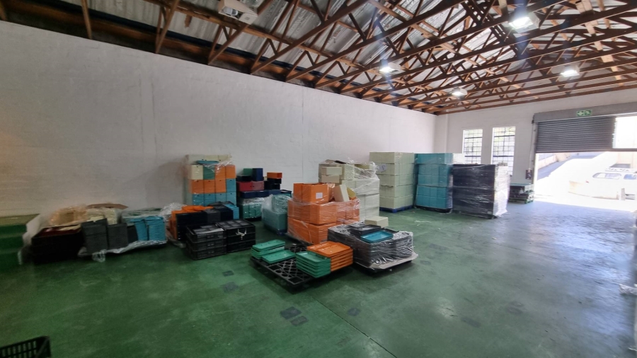 To Let commercial Property for Rent in Observatory Western Cape